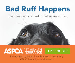 Bad Ruff Happens. Get protection with pet insurance. ASPCA Pet Health Insurance. Free quote.
