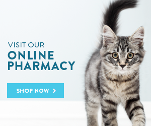 Visit our online pharmacy. Shop now