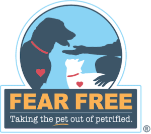 Fear Free: Taking the "pet" out of petrified