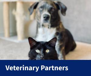 Veterinary Partners